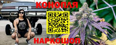 сатива Баксан