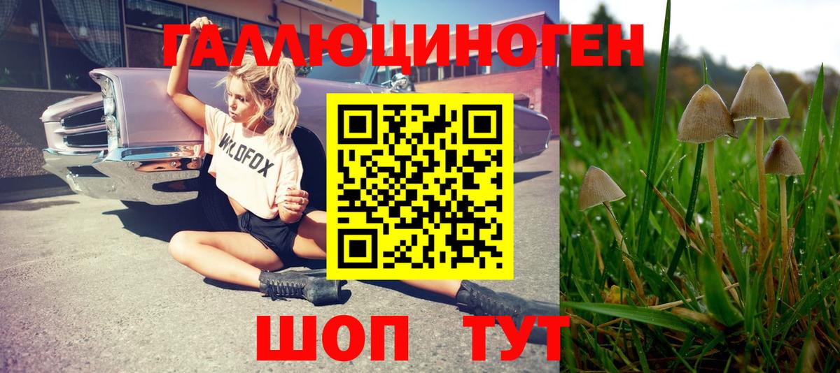 Галлюциногенные грибы прущие грибы Татарск