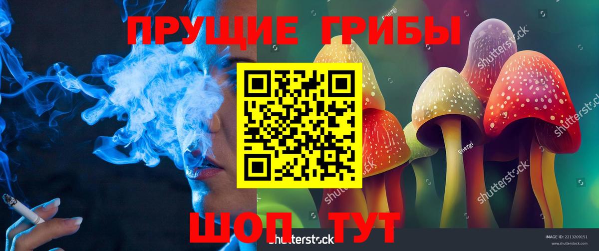 Татарск  Галлюциногенные грибы Psilocybine cubensis  Вход с VPN 
